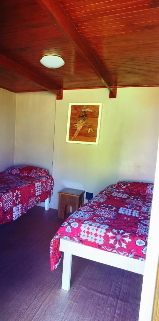 Moonsong Accommodation & Camping بليتنبيرغ باي المظهر الخارجي الصورة